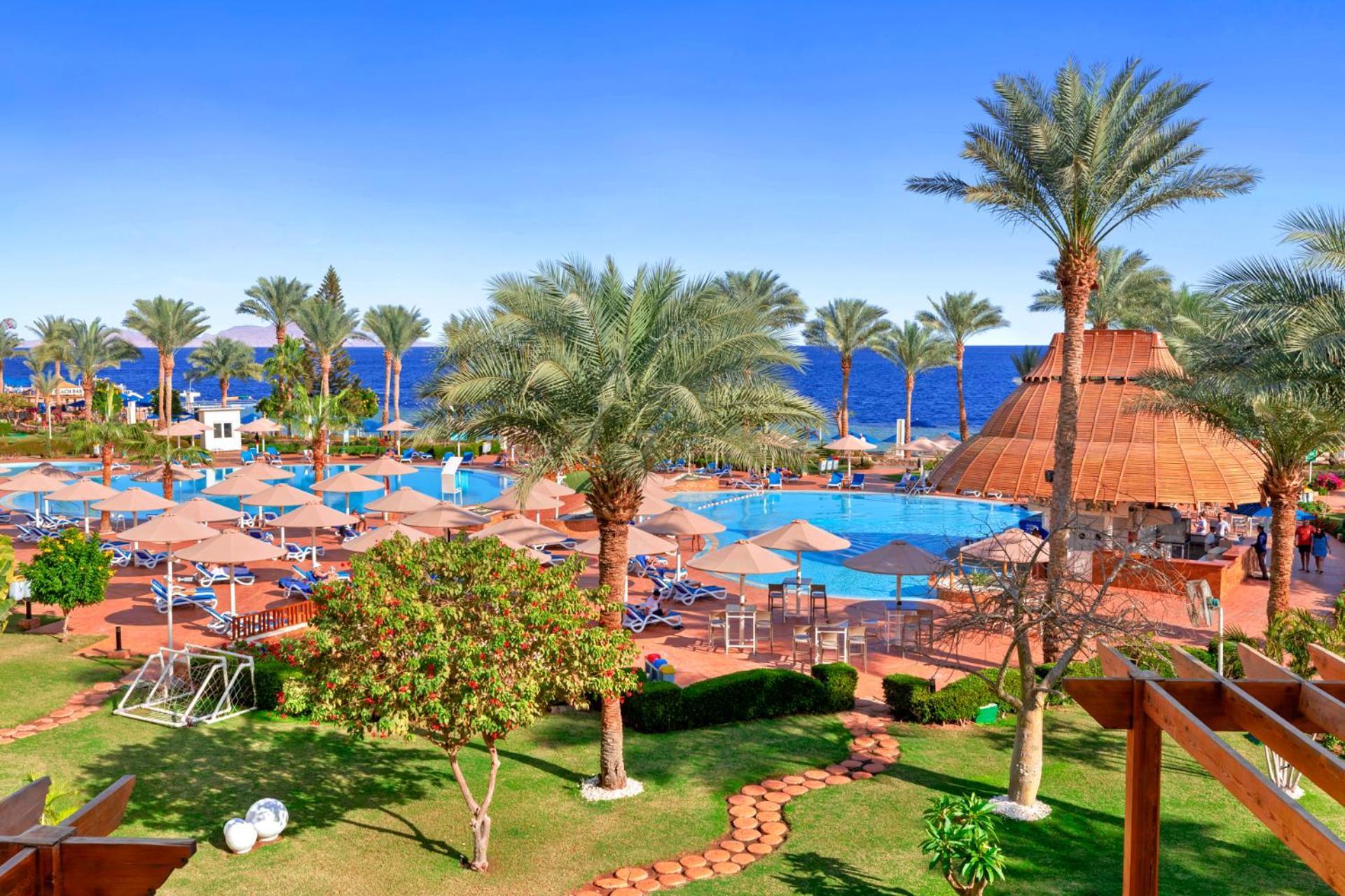 فندق رويال جراند شرم ريزورت شرم الشيخ المظهر الخارجي الصورة The image shows a vibrant tropical resort scene. In the foreground, there are lush green palm trees and neatly organized grassy areas. A winding pathway made of bricks leads through the gardens. 

In the background, a large swimming pool is visible, 